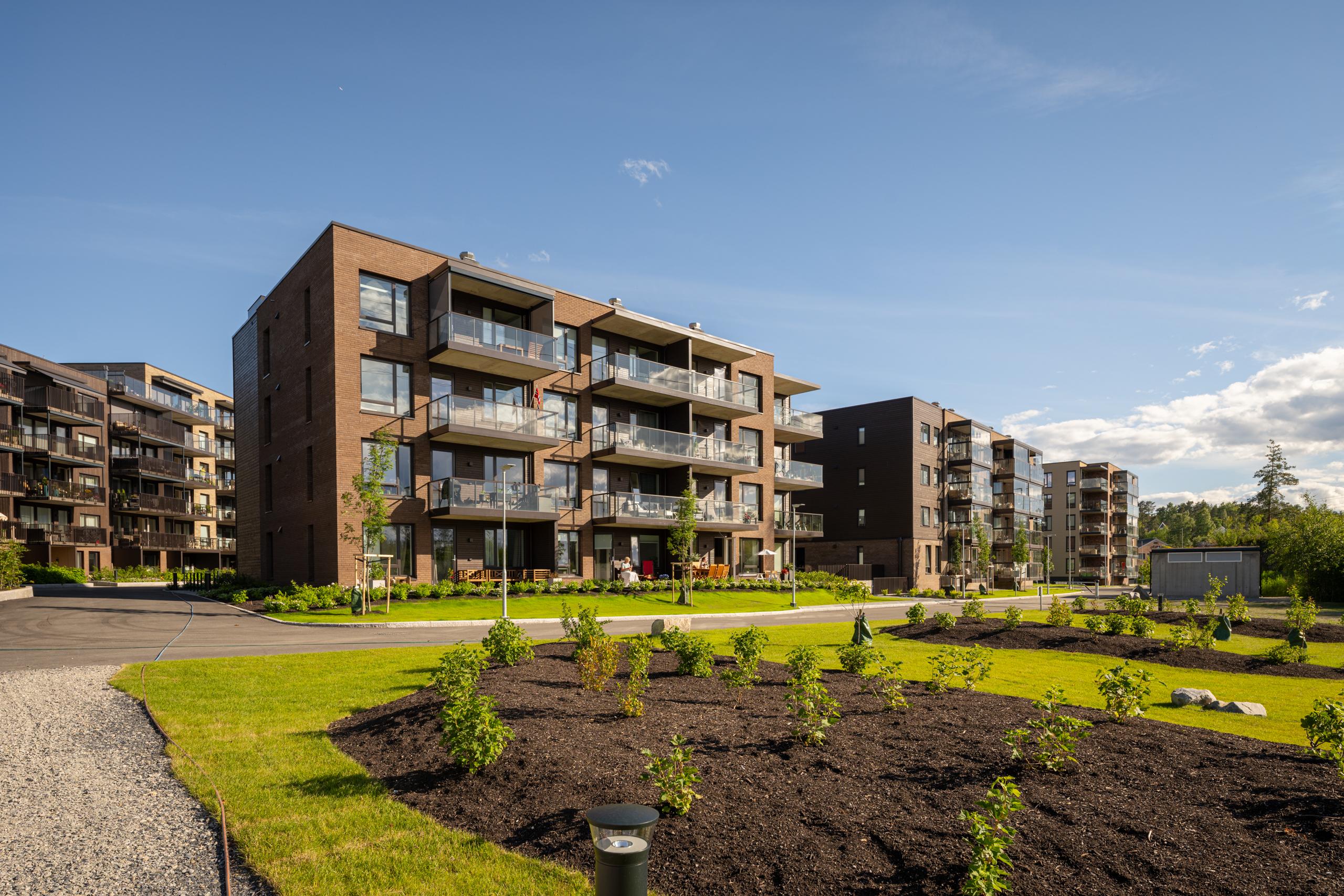 Kveldssolen nytes
