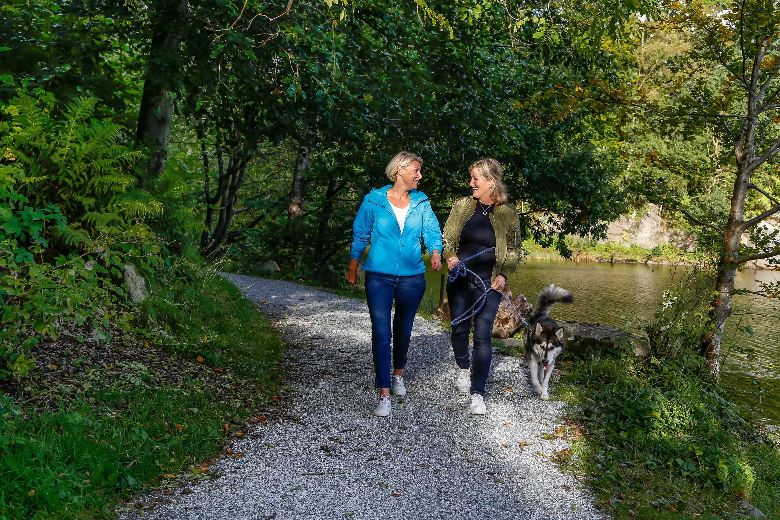 En hund luftes på tur i det frodige området rundt Myravannet