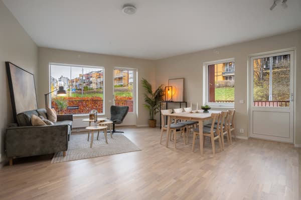 Nyplantet vintertett hekk – vil gi tett og frodig skjerming fra neste sesong. Illustrert bilde.