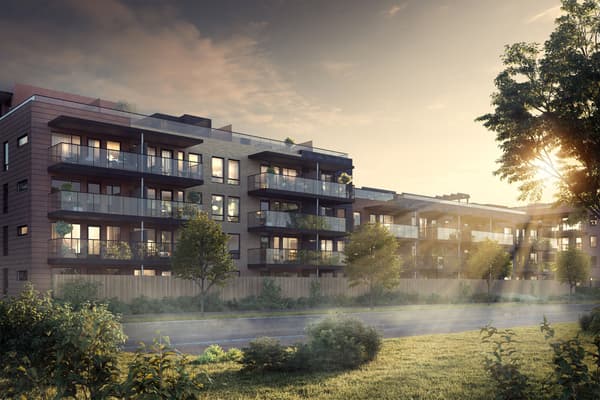 Velkommen hjem til Skulpturen! 